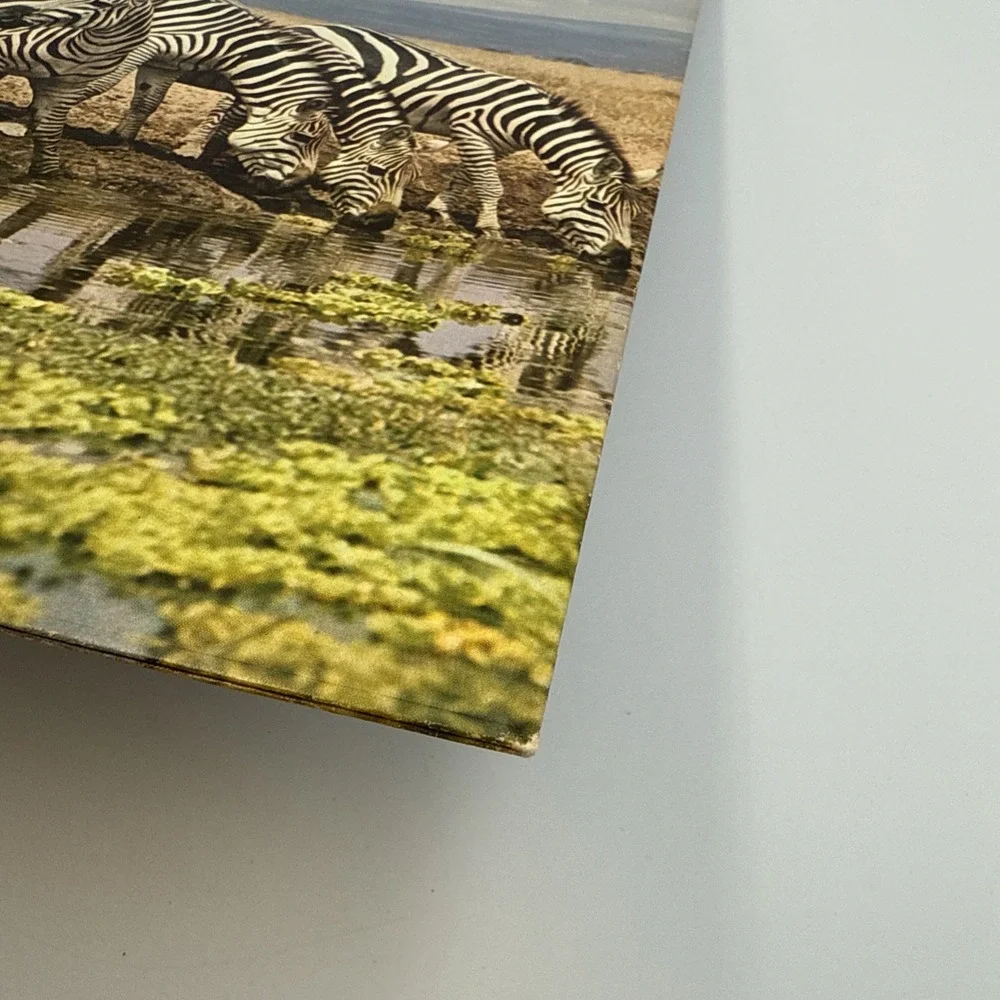 FRIENDS OF THE EARTH Hytone Portfolio Vintage Mead Folder‎ Zebras